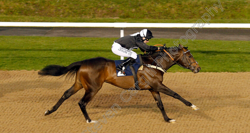 Involved-0004 
 INVOLVED (Robert Winston) wins The Follow Top Tipsters At Sun Racing Novice Median Auction Stakes
Wolverhampton 10 Dec 2018 - Pic Steven Cargill / Racingfotos.com