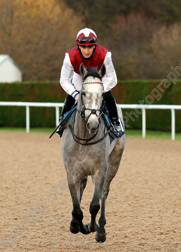 Whimbrel-0002 
 WHIMBREL (Nicky Mackay)
Wolverhampton 28 Nov 2018 - Pic Steven Cargill / Racingfotos.com