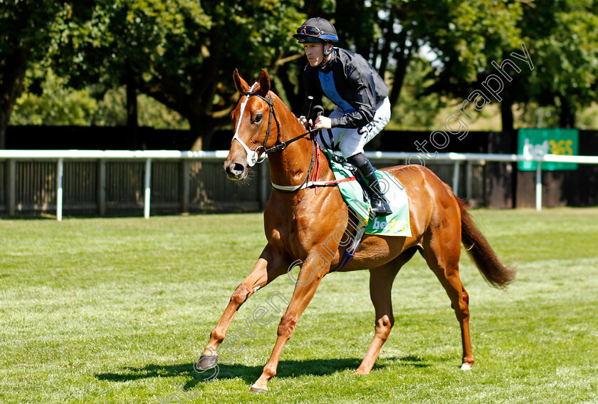 Tagline 
 TAGLINE (Richard Kingscote)
Newmarket 8 Jul 2022 - Pic Steven Cargill / Racingfotos.com