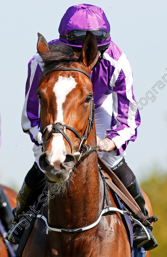 Happily-0002 
 HAPPILY (Ryan Moore) Newmarket 6 May 2018 - Pic Steven Cargill / Racingfotos.com