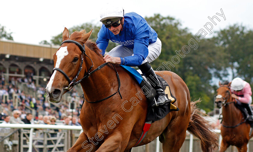 Modern-News-0003 
 MODERN NEWS (James Doyle) wins The Joyce And Charlie Guest Memorial Handicap
Newmarket 31 Jul 2021 - Pic Steven Cargill / Racingfotos.com