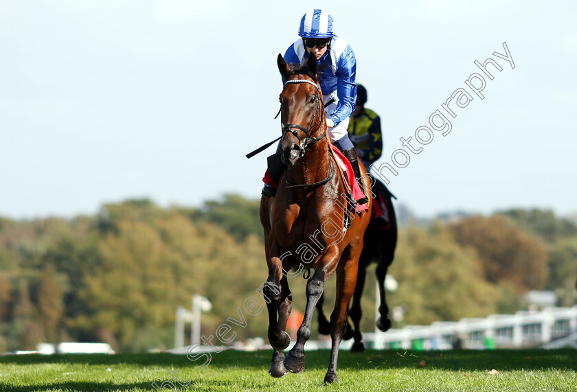 Dalaalaat-0001 
 DALAALAAT (Jim Crowley)
Sandown 19 Sep 2018 - Pic Steven Cargill / Racingfotos.com