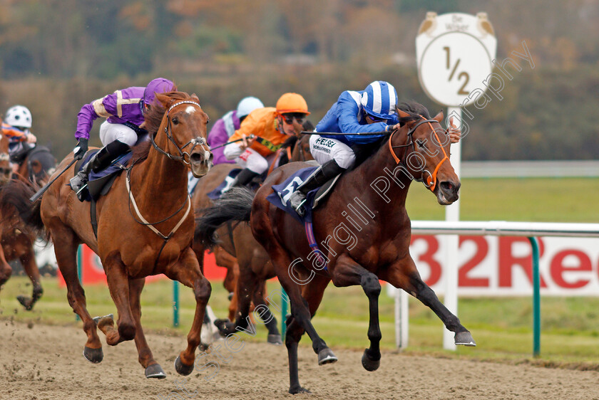 Rajaam-0005 
 RAJAAM (right, Sean Levey) beats KEY PLAYER (left) in The 32Red.com/EBF Novice Stakes Lingfield 21 Nov 2017 - Pic Steven Cargill / Racingfotos.com