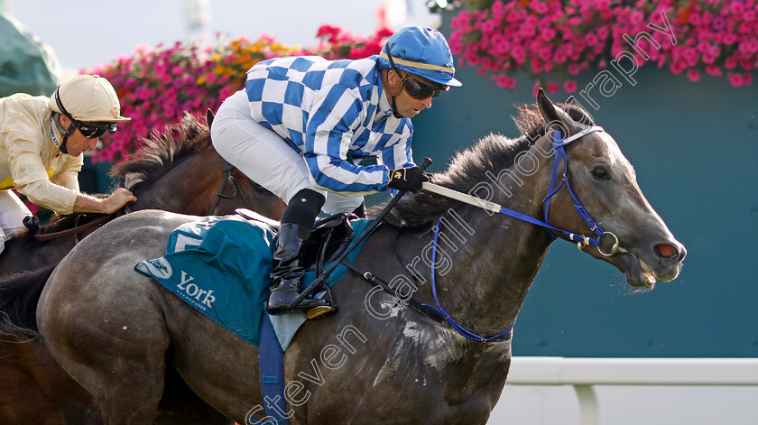 Silver-Sword-0001 
 SILVER SWORD (Greg Cheyne) wins The Sky Bet Mile Handicap
York 25 Aug 2023 - Pic Steven Cargill / Racingfotos.com