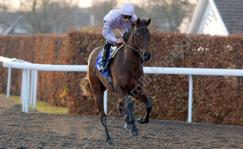 Teresita-Alvarez-0001 
 TERESITA ALVAREZ (Jason Watson) on her way to the start before falling in the race
Kempton 4 Jan 2019 - Pic Steven Cargill / Racingfotos.com