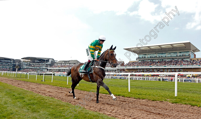 Jonbon-0005 
 JONBON (Aidan Coleman) winner of The EFT Systems Maghull Novices Chase
Aintree 15 Apr 2023 - Pic Steven Cargill / Racingfotos.com