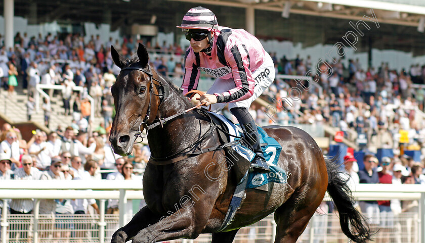 Chichester-0003 
 CHICHESTER (Richard Kingscote) wins The Seat Unique Ganton Stakes
York 16 Jun 2023 - Pic Steven Cargill / Racingfotos.com