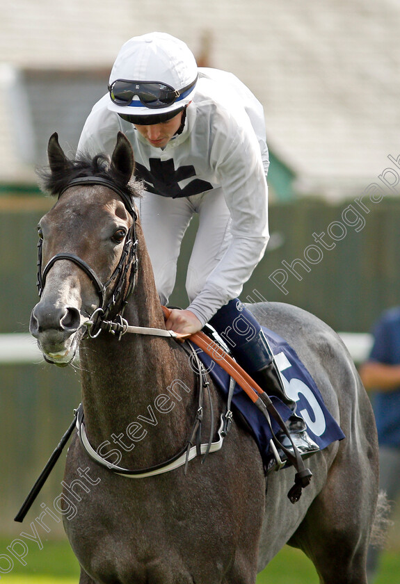 Fourshadesofsilver-0001 
 FOURSHADESOFSILVER (Darragh Keenan)
Yarmouth 16 Sep 2021 - Pic Steven Cargill / Racingfotos.com