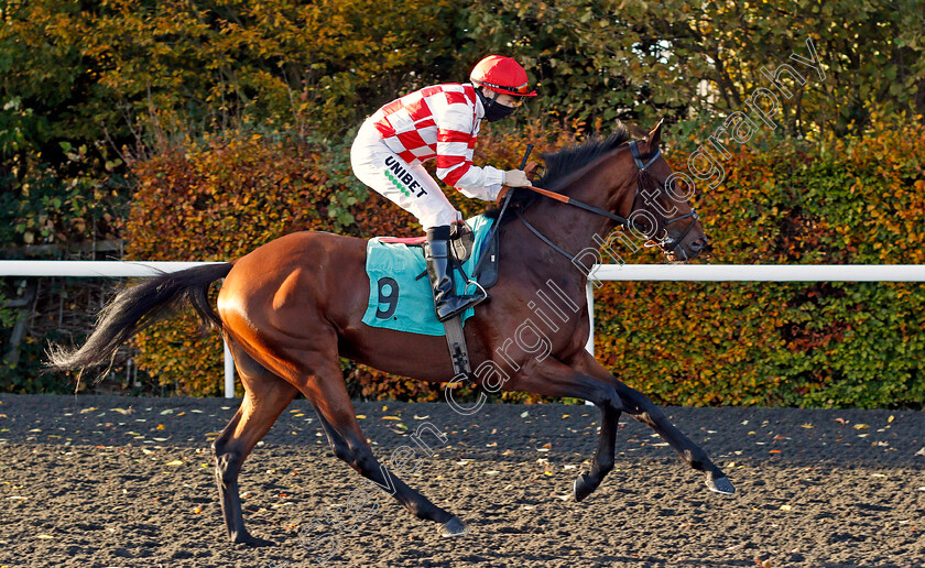 Maori-Knight-0001 
 MAORI KNIGHT (Jamie Spencer)
Kempton 2 Nov 2020 - Pic Steven Cargill / Racingfotos.com