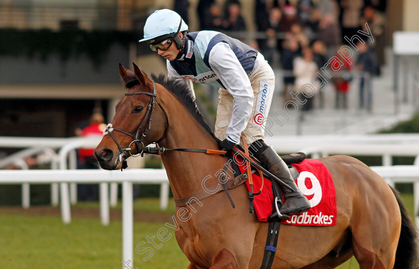 Kabral-Du-Mathan-0001 
 KABRAL DU MATHAN (Harry Cobden)
Ascot 21 Dec 2024 - Pic Steven Cargill / Racingfotos.com