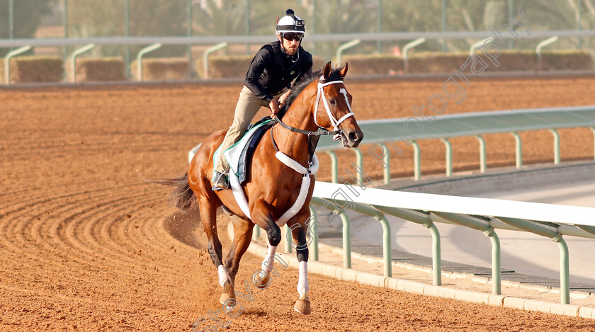 Maximum-Security-0003 
 MAXIMUM SECURITY preparing for The Saudi Cup
Riyadh Racetrack, Kingdom Of Saudi Arabia, 27 Feb 2020 - Pic Steven Cargill / Racingfotos.com