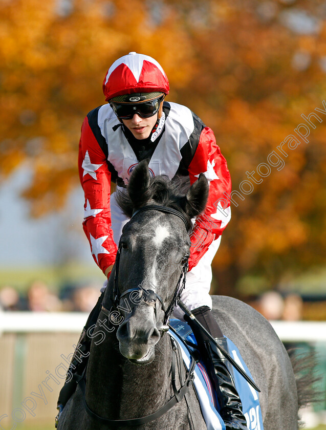 Arbalet-0002 
 ARBALET (James Doyle) Newmarket 14 Oct 2017 - Pic Steven Cargill / Racingfotos.com