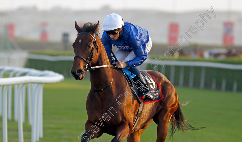 Zakouski-0001 
 ZAKOUSKI (William Buick)
Sakhir Racecourse, Bahrain 19 Nov 2021 - Pic Steven Cargill / Racingfotos.com