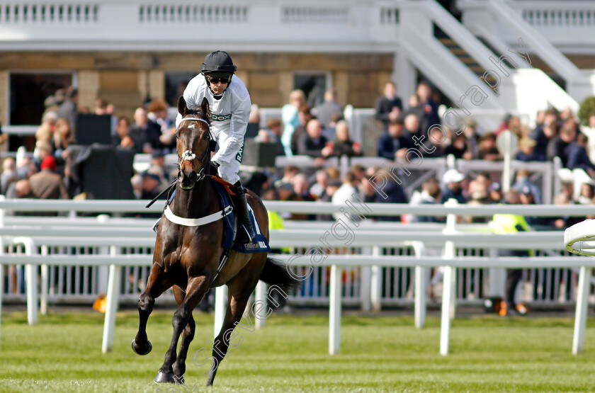 Constitution-Hill-0020 
 CONSTITUTION HILL (Nico de Boinville) winner of The William Hill Aintree Hurdle
Aintree 13 Apr 2023 - Pic Steven Cargill / Racingfotos.com