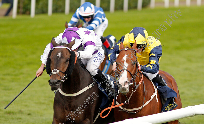 Time-To-Study-0005 
 TIME TO STUDY (right, P J McDonald) beats BYRON FLYER (left) in The William Hill Mallard Handicap Doncaster 15 Sep 2017 - Pic Steven Cargill / Racingfotos.com