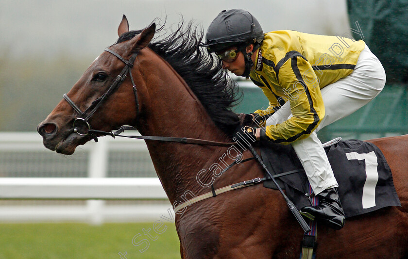 Beholden-0001 
 BEHOLDEN (William Buick)
Ascot 2 Oct 2020 - Pic Steven Cargill / Racingfotos.com