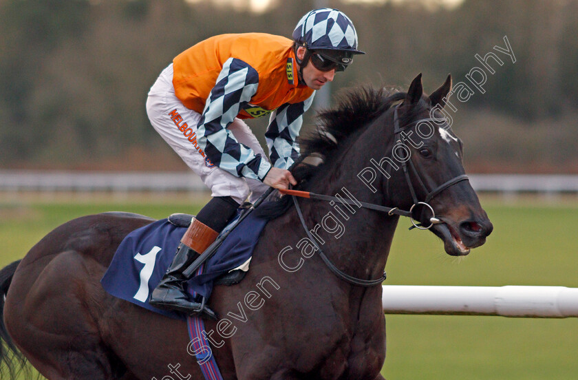 Kingofmerrows-0001 
 KINGOFMERROWS (Dougie Costello) Wolverhampton 4 Jan 2018 - Pic Steven Cargill / Racingfotos.com