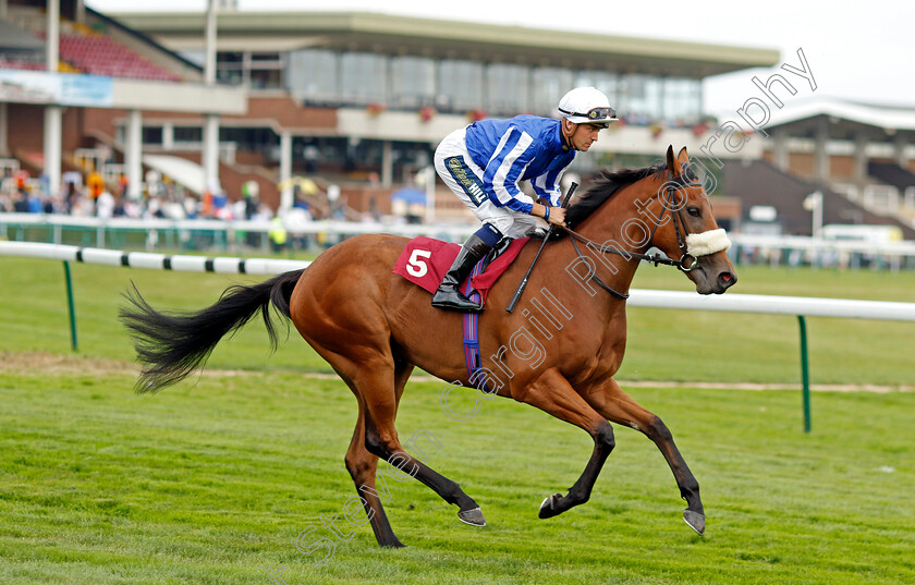 Muntasira-0001 
 MUNTASIRA (Kevin Stott)
Haydock 2 Sep 2022 - Pic Steven Cargill / Racingfotos.com