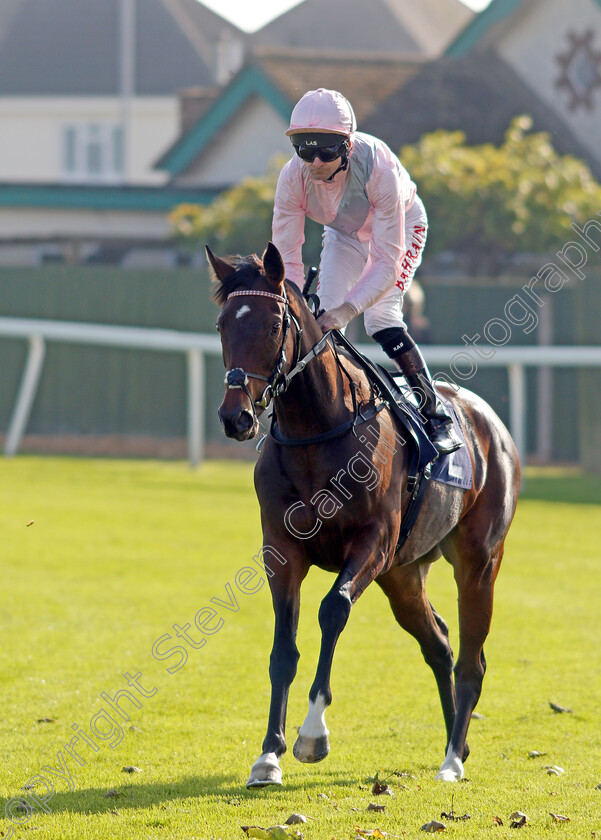 A-Cappella-0001 
 A CAPPELLA (Robert Havlin)
Yarmouth 19 Oct 2021 - Pic Steven Cargill / Racingfotos.com