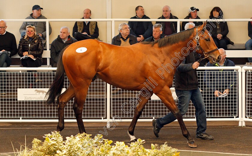 Lot-0006-colt-by-Dandy-Man-ex-Paddy-Again-0001 
 Lot 006 colt by Dandy Man ex Paddy Again sells for £58,000 at Tattersalls Ireland Ascot Breeze Up Sale 5 Apr 2018 - Pic Steven Cargill / Racingfotos.com