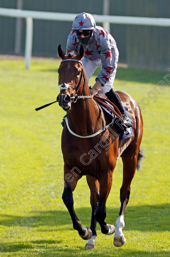 Sonderbar-0001 
 SONDERBAR (Ben Curtis)
Yarmouth 15 Sep 2020 - Pic Steven Cargill / Racingfotos.com