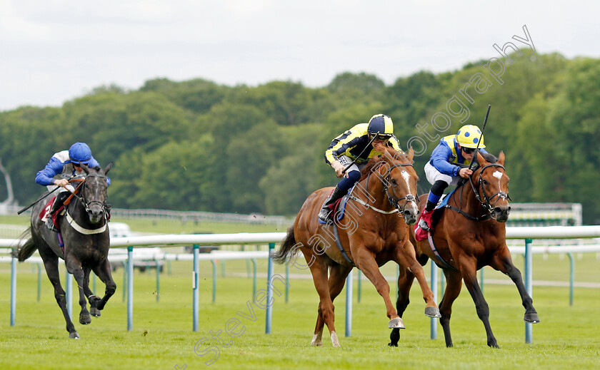 Whoputfiftyinyou-0004 
 WHOPUTFIFTYINYOU (centre, David Probert) beats MIGHTY ULYSSES (right) in The Cazoo Silver Bowl Handicap
Haydock 21 May 2022 - Pic Steven Cargill / Racingfotos.com