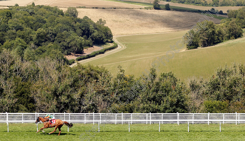 Lil-Rockerfeller-0006 
 LIL ROCKERFELLER (Silvestre De Sousa) wins The Matchbook Betting Podcast Goodwood Handicap
Goodwood 1 Aug 2018 - Pic Steven Cargill / Racingfotos.com