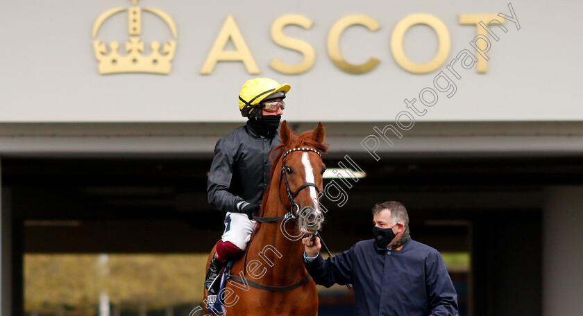 Stradivarius-0005 
 STRADIVARIUS (Frankie Dettori) before winning The Longines Sagaro Stakes
Ascot 28 Apr 2021 - Pic Steven Cargill / Racingfotos.com