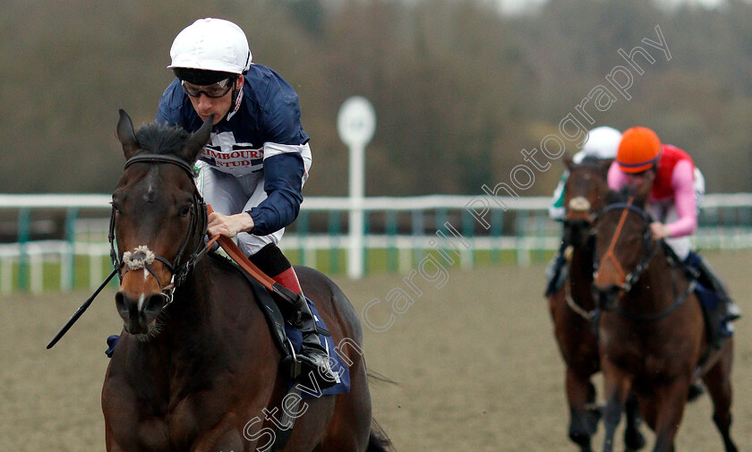 Swiss-Pride-0007 
 SWISS PRIDE (Shane Kelly) wins The Betway Maiden Stakes
Lingfield 2 Mar 2019 - Pic Steven Cargill / Racingfotos.com