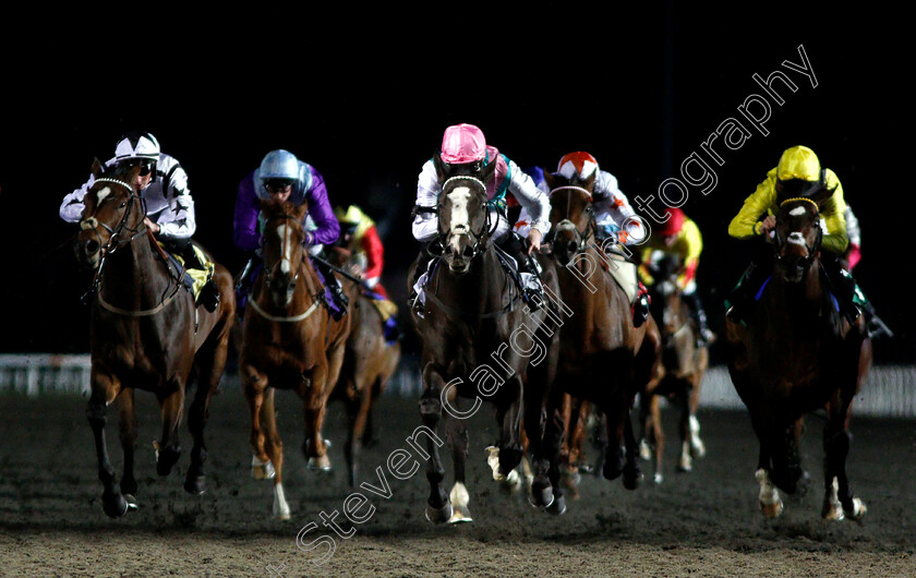 Set-Piece-0003 
 SET PIECE (centre, Jason Watson) wins The 32Red Casino British Stallion Studs EBF Novice Stakes Div1
Kempton 12 Dec 2018 - Pic Steven Cargill / Racingfotos.com