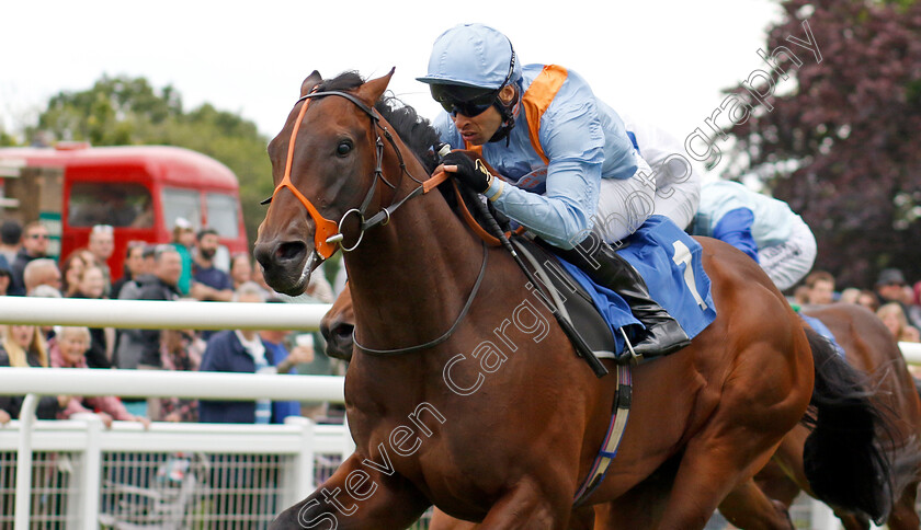 An-Outlaw s-Grace-0002 
 AN OUTLAW'S GRACE (Sean Levey) wins The Byerley Stud Peter & Virginia Walwyn Memorial British EBF Novice Stakes
Salisbury 16 Jun 2024 - pic Steven Cargill / Racingfotos.com