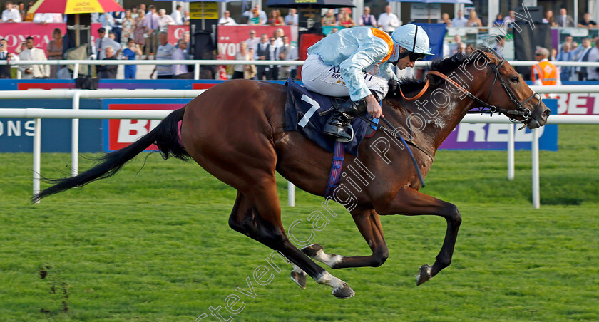 Red-Zone-Hero-0002 
 RED ZONE HERO (Ryan Moore) wins The Hippo Clean Edge Masking Tape Confined Nursery
Doncaster 15 Sep 2023 - Pic Steven Cargill / Racingfotos.com