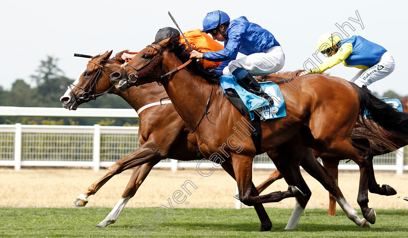 Speedo-Boy-0004 
 SPEEDO BOY (farside, James Doyle) beats ALQAMAR (nearside) in The JGR Brown Jack Handicap
Ascot 27 Jul 2018 - Pic Steven Cargill / Racingfotos.com