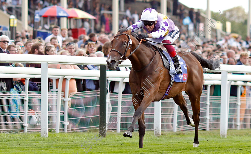 Kinross-0003 
 KINROSS (Frankie Dettori) wins The Sky Bet City of York Stakes
York 20 Aug 2022 - Pic Steven Cargill / Racingfotos.com