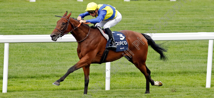 Goliath-0007 
 GOLIATH (Christophe Soumillon) wins The King George VI and Queen Elizabeth Stakes
Ascot 27 Jul 2024 - Pic Steven Cargill / Racingfotos.com