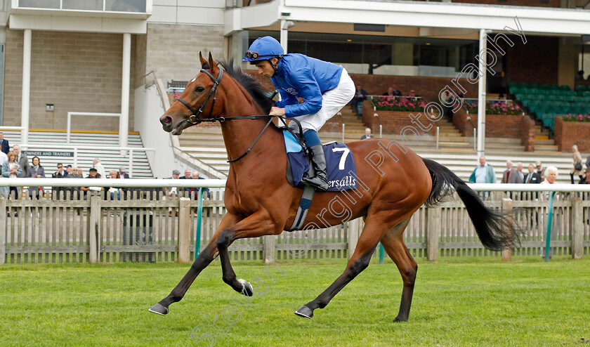 Legend-Of-Time-0001 
 LEGEND OF TIME (William Buick)
Newmarket 28 Sep 2023 - Pic Steven Cargill / Racingfotos.com