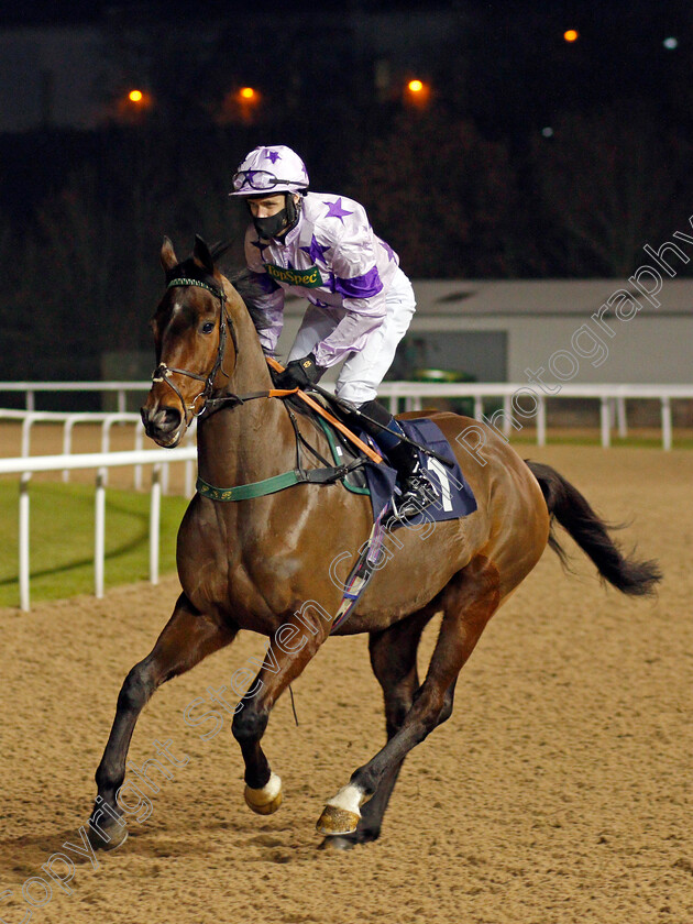 Juriste-0001 
 JURISTE (Tom Eaves)
Wolverhampton 18 Jan 2021 - Pic Steven Cargill / Racingfotos.com