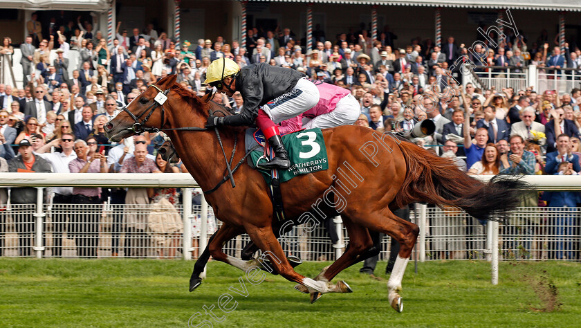 Stradivarius-0006 
 STRADIVARIUS (Frankie Dettori) wins The Weatherby's Hamilton Lonsdale Cup
York 20 Aug 2021 -- Pic Steven Cargill / Racingfotos.com