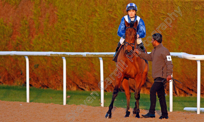 Manaabit-0001 
 MANAABIT (Georgia Cox)
Wolverhampton 3 Jan 2020 - Pic Steven Cargill / Racingfotos.com