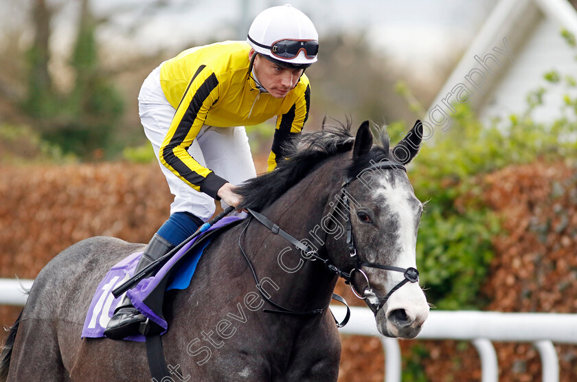 Wyld-Bill-0001 
 WYLD BILL (Callum Shepherd)
Kempton 3 Apr 2024 - Pic Steven Cargill / Racingfotos.com