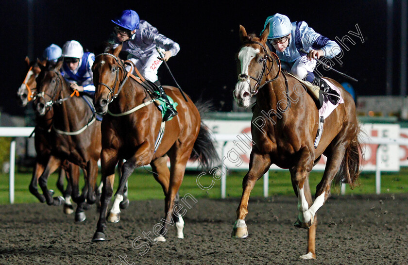 Wine-List-0007 
 WINE LIST (Oisin Murphy) wins The Close Brothers Business Finance Median Auction Maiden Stakes Kempton 11 Oct 2017 - Pic Steven Cargill / Racingfotos.com