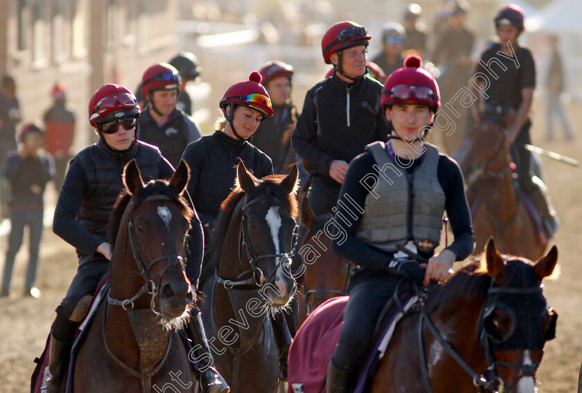 Auguste-Rodin-0007 
 AUGUSTE RODIN (centre) returns from training for the Breeders' Cup Turf with the rest of the Aidan O'Brien string
Santa Anita USA, 1 Nov 2023 - Pic Steven Cargill / Racingfotos.com