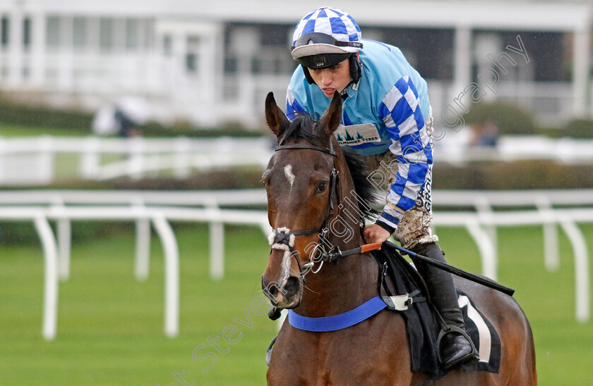 Fanfan-Du-Seuil-0001 
 FANFAN DU SEUIL (Charlie Hammond)
Market Rasen 17 Nov 2022 - Pic Steven Cargill / Racingfotos.com