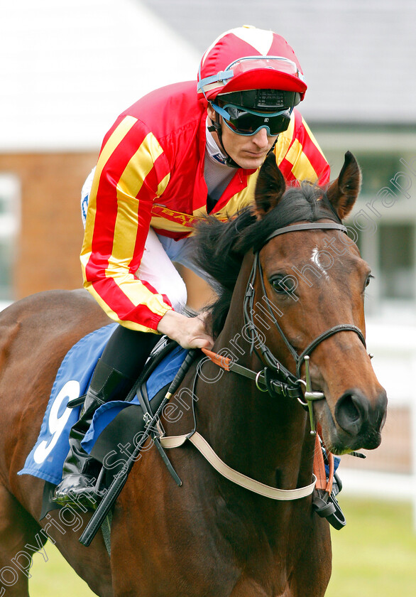 Haarriet-0001 
 HAARRIET (Fran Berry) Salisbury 29 Apr 2018 - Pic Steven Cargill / Racingfotos.com