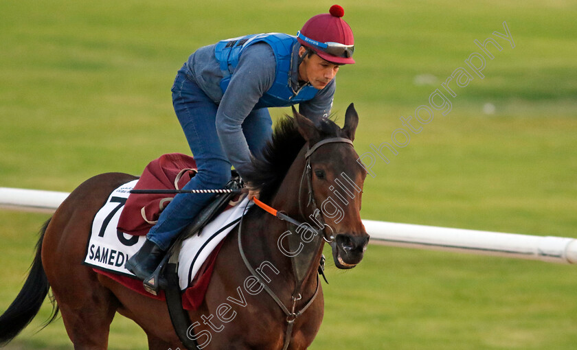 Samedi-Rien-0002 
 SAMEDI RIEN training at the Dubai World Cup Carnival
Meydan 5 Jan 2023 - Pic Steven Cargill / Racingfotos.com