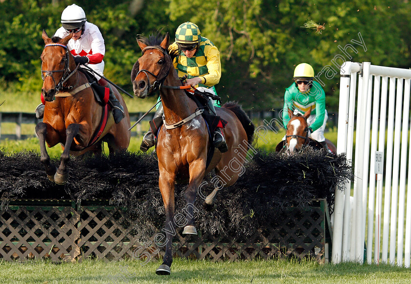 Zanjabeel-0004 
 ZANJABEEL (left, Ross Geraghty) beats MODEM (right) in The Calvin Houghland Iroquois Hurdle Grade 1, Percy Warner Park, Nashville 12 May 2018 - Pic Steven Cargill / Racingfotos.com