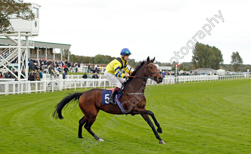 Coco-Royale-0007 
 COCO ROYALE (Cieren Fallon) winner of The Stream Racing At Bresbet.com Handicap
Yarmouth 16 Oct 2023 - Pic Steven Cargill / Racingfotos.com