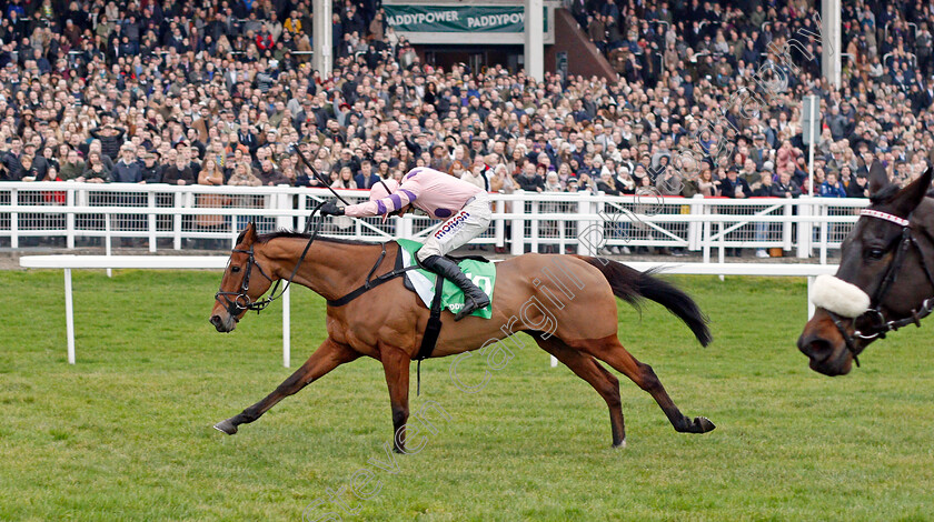 Oldgrangewood-0003 
 OLDGRANGEWOOD (Harry Skelton) wins The Paddy Power Handicap Chase
Cheltenham 1 Jan 2020 - Pic Steven Cargill / Racingfotos.com