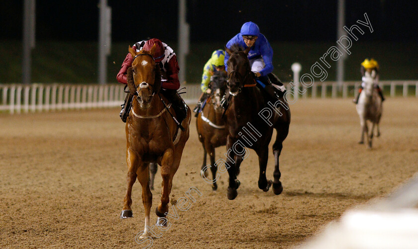 Cry-Wolf-0003 
 CRY WOLF (Rossa Ryan) wins The Redrow And Ehaat Handicap
Chelmsford 6 Sep 2018 - Pic Steven Cargill / Racingfotos.com