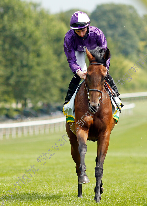 Hello-You-0001 
 HELLO YOU (Rossa Ryan)
Newmarket 9 Jul 2021 - Pic Steven Cargill / Racingfotos.com